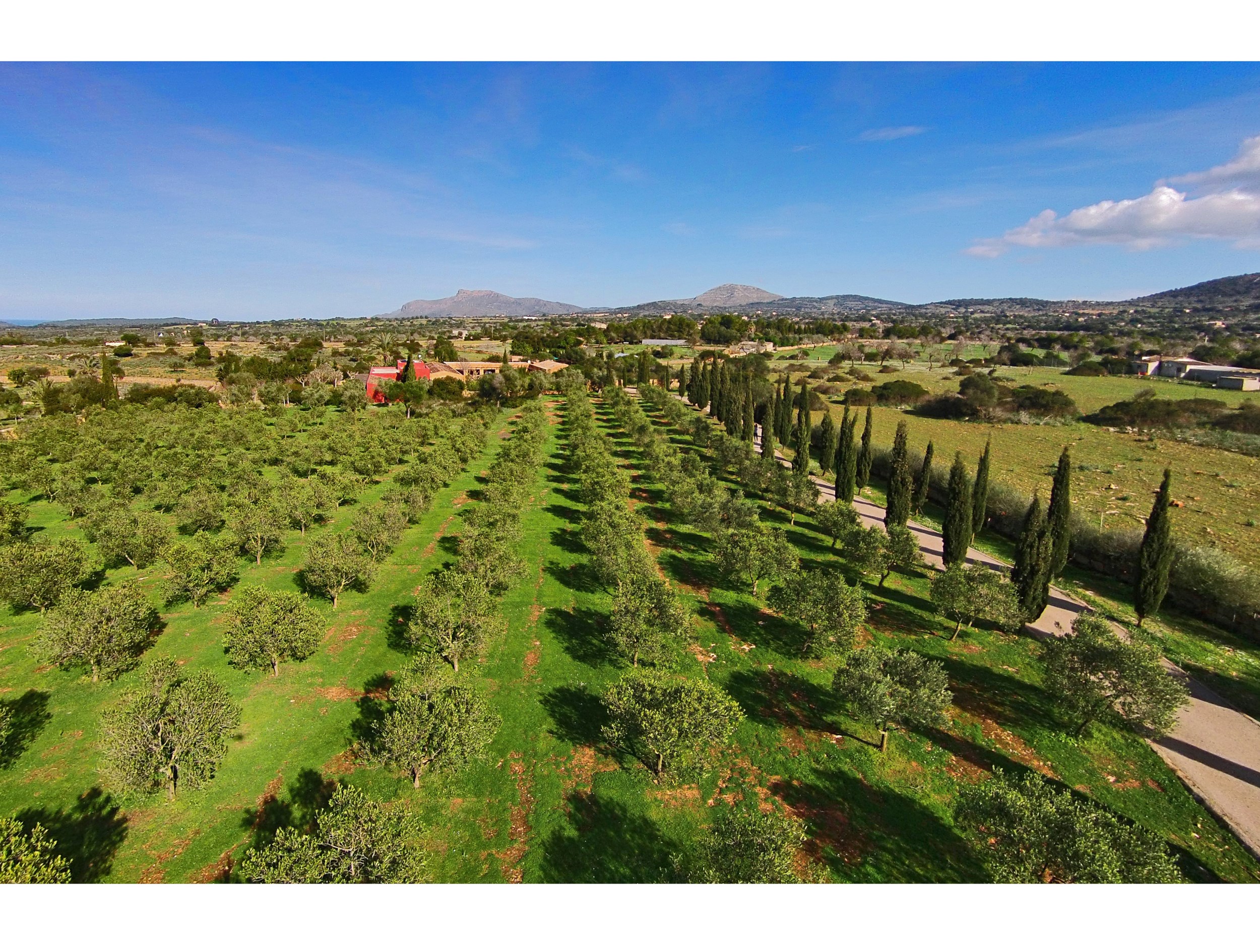 Gardens and grounds