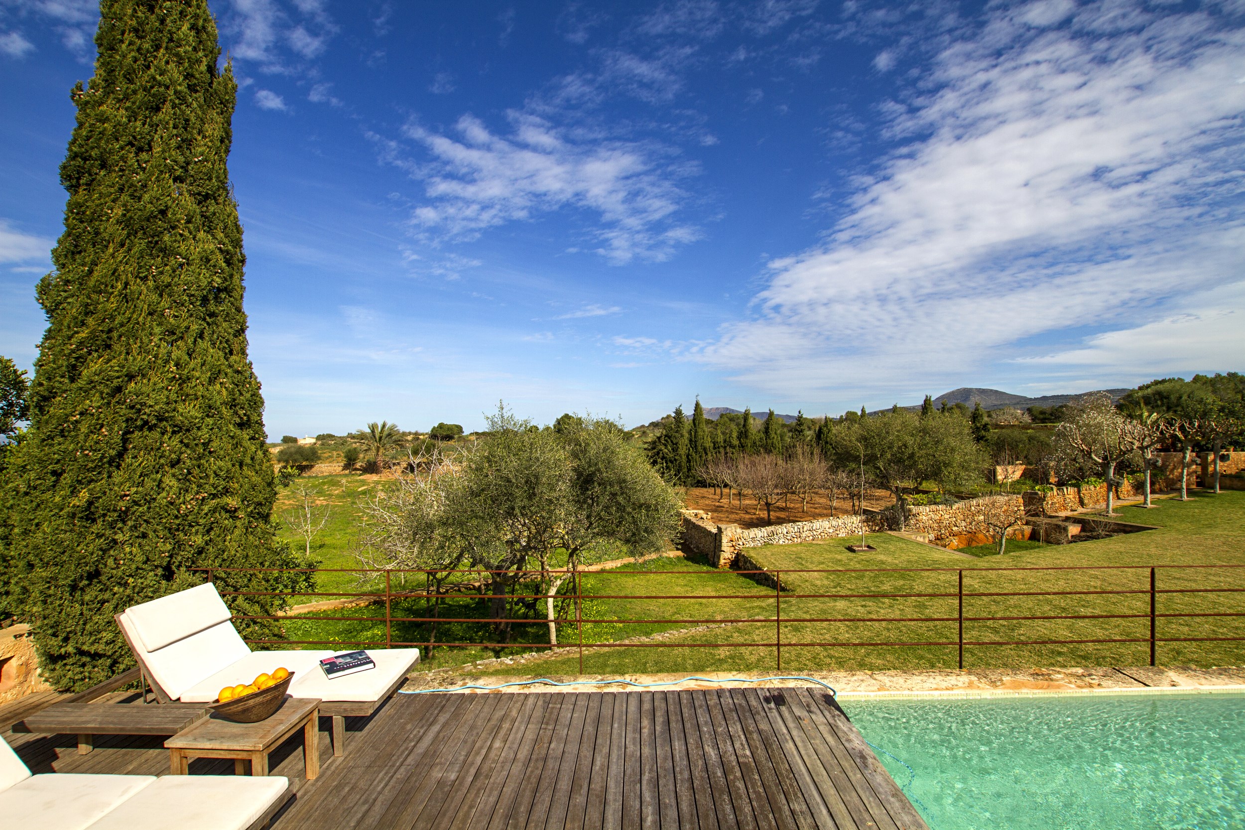 Pool & Gardens